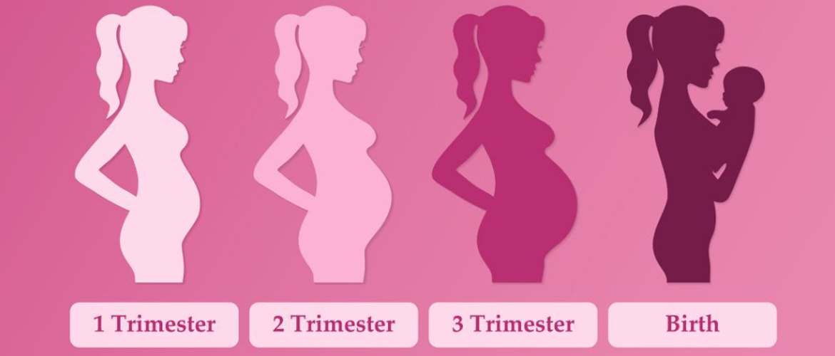 best_trimester_treatment in tiruvannamalai